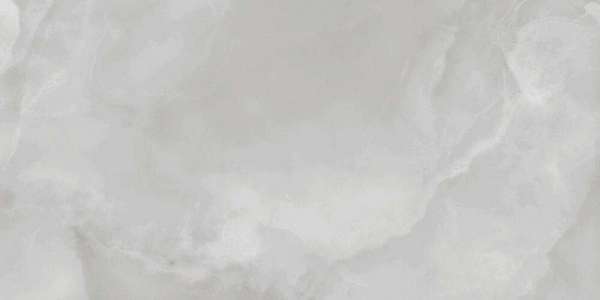 PR230 Vilema Grey Polished 60x120